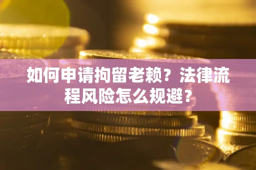 武汉如何申请拘留老赖？法律流程风险怎么规避？