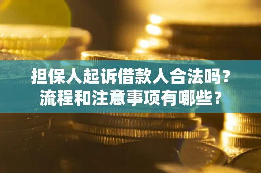 武汉担保人起诉借款人合法吗？流程和注意事项有哪些？