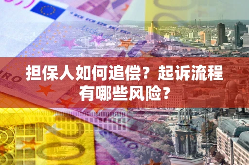 武汉担保人如何追偿？起诉流程有哪些风险？