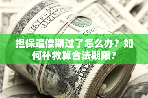 武汉担保追偿期过了怎么办？如何补救算合法期限？