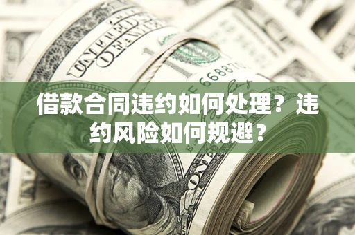 武汉借款合同违约如何处理？违约风险如何规避？