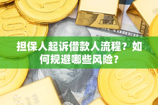 武汉担保人起诉借款人流程？如何规避哪些风险？