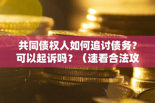 武汉共同债权人如何追讨债务？可以起诉吗？（速看合法攻略）