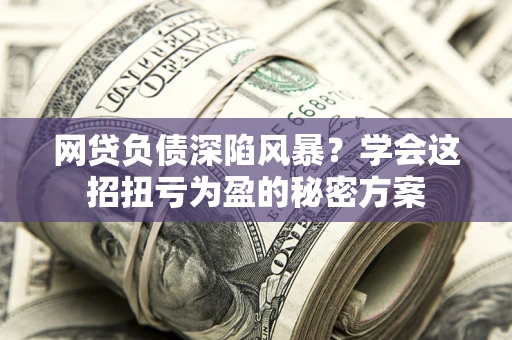 武汉网贷负债深陷风暴？学会这招扭亏为盈的秘密方案